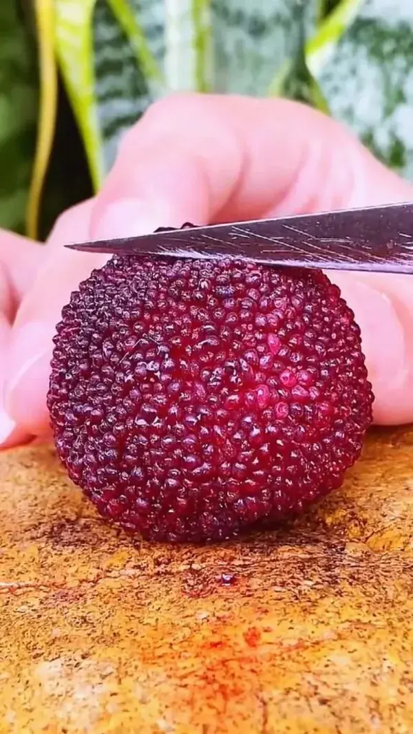 OMG 😱 what fruit?🤤😋#usa #fruit #asmr #delicious #foodie