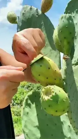 unique fruit