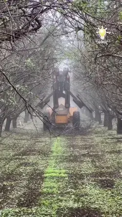 Unique machine for cut unique shape tree - tube home