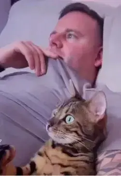 Cute Cats Watching Tv