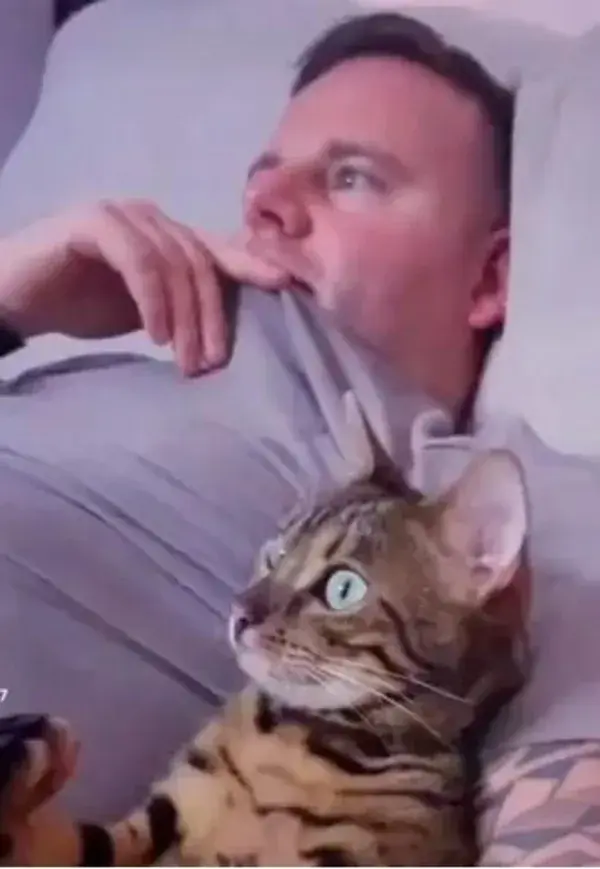 Cute Cats Watching Tv