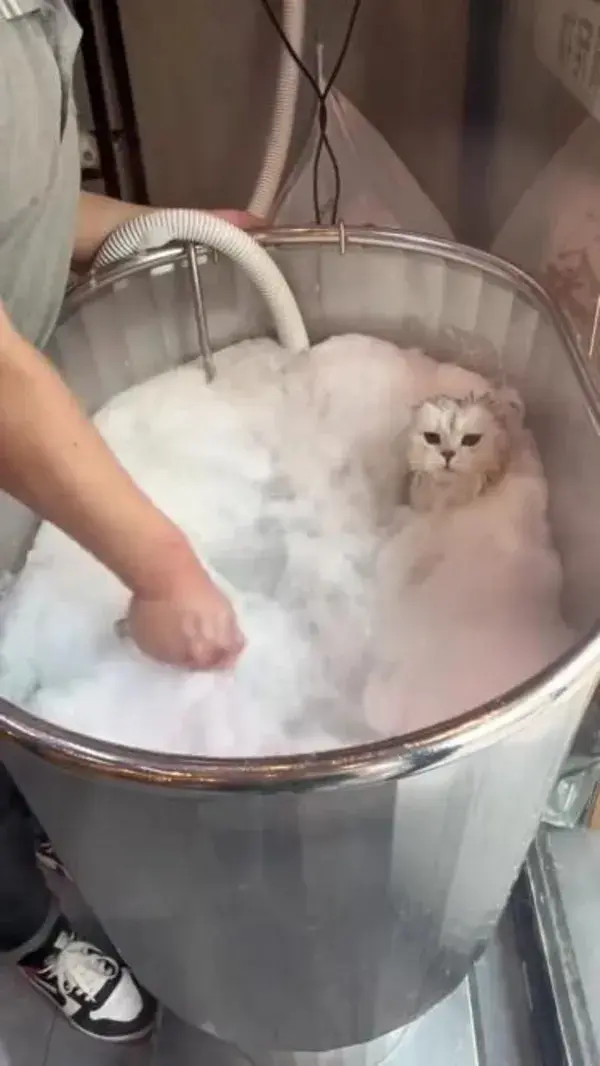 bubble bath