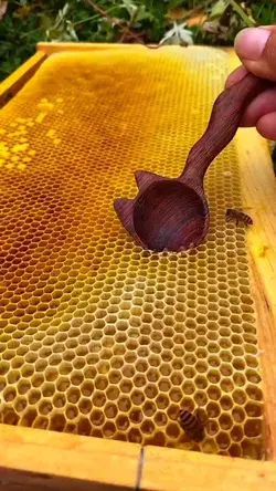 #satisfying #oddlysatisfying #satisfy #thesatisfyingsociety #satisfied #art #craft #honey