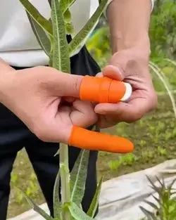 Multifunctional gardening thumb knife