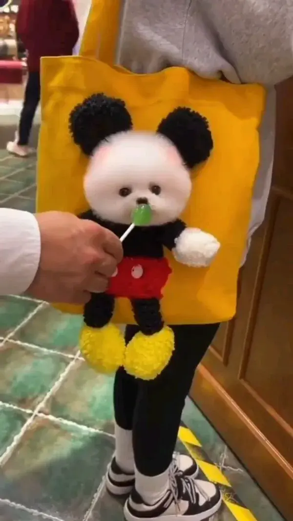 Adorable White Teacup Pomeranian's Shopping Adventure - Cute Puppy Enjoys Lollypop 🛍️🐶😋🐾🍭😂🤣❤️