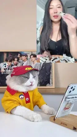 Cooking cat video by @thatlittlepuff on TikTok!