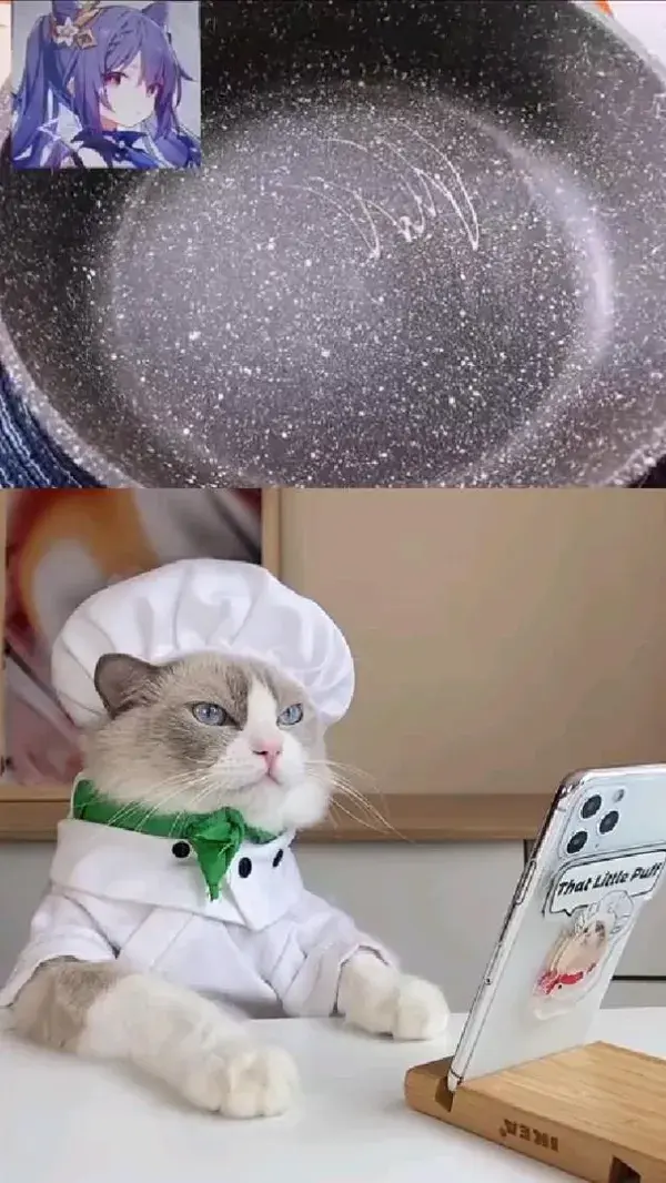 funny cat cooking videos