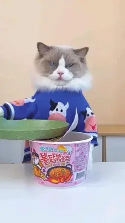 Funny Cat Making Food #cat #funnycat