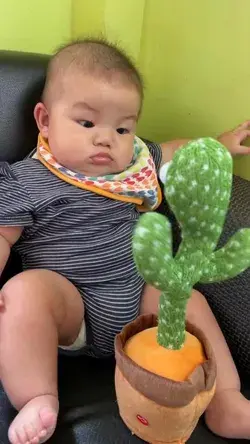 Funny dancing and singing cactus