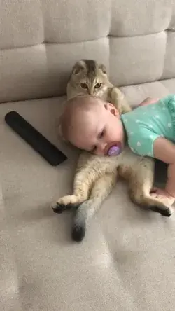 Baby and cat