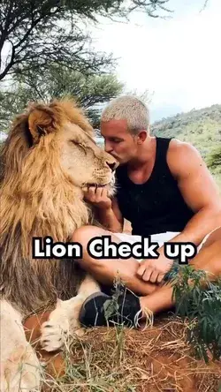 Lion Check-Up