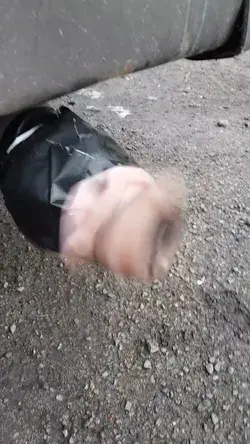 Tailpipe Prank 😜