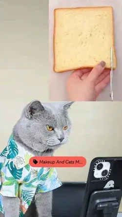 So Funny Cat vidéo, Please don't forget like follow and check my Shop