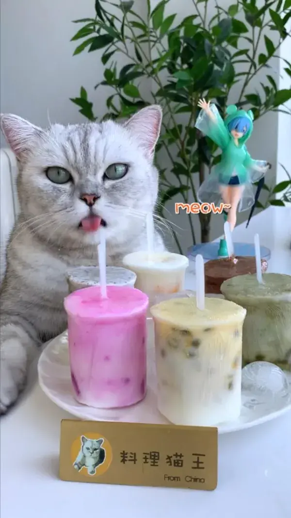 Teach you to make six flavors of ice cream#pets