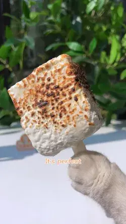 Fire-roasted marshmallow ice cream