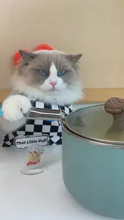 That Little Puff | Meow Chef is online now. Stop by and say Hi 👋 !