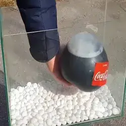 Giant Balloons of Coke and Sprite + Mentos = ??? #science #experiment  Credit:@_powervision_ 