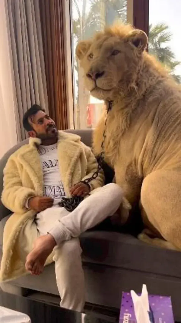 Dubai saikh with lion