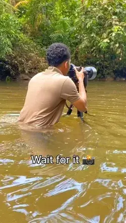 Wildlife in Sri Lanka 🇱🇰