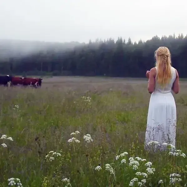 Kulning Cow Singing | Scandinavia