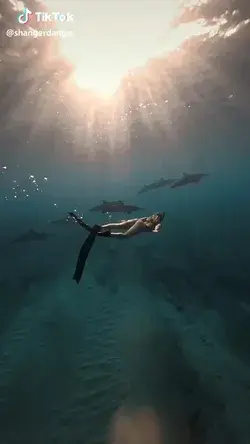 Girl Swims with Dolphins | Ocean Diving