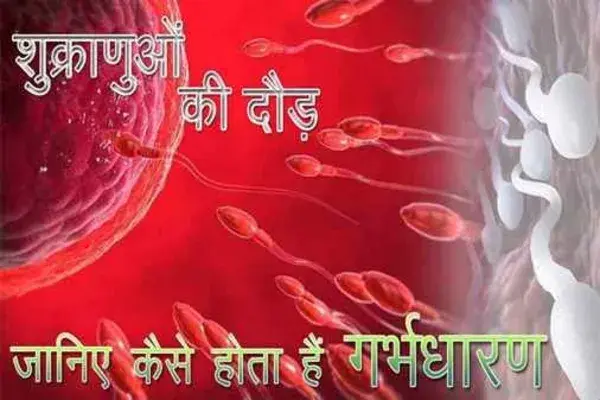 शुक्राणुओं का अंडे तक का सफर - एक नए जीवन की शुरुआत (Journey of Sperms to Egg - Start of A New Life)