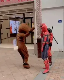 When the Brown Bear meets Spider-Man and Deadpool