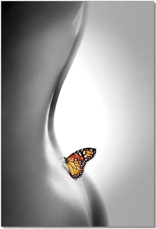 Black and White Butterfly Wall Art