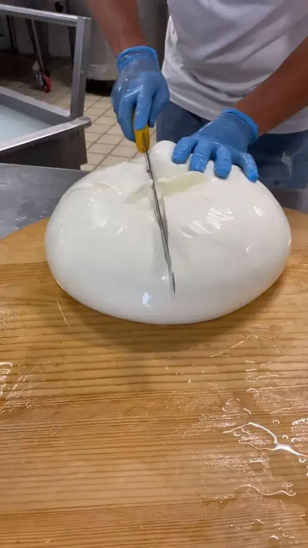 Giant Mozzarella