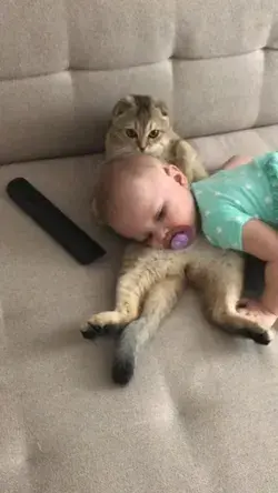 Baby+kitty