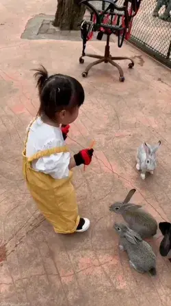 👧🐇🐇🐇