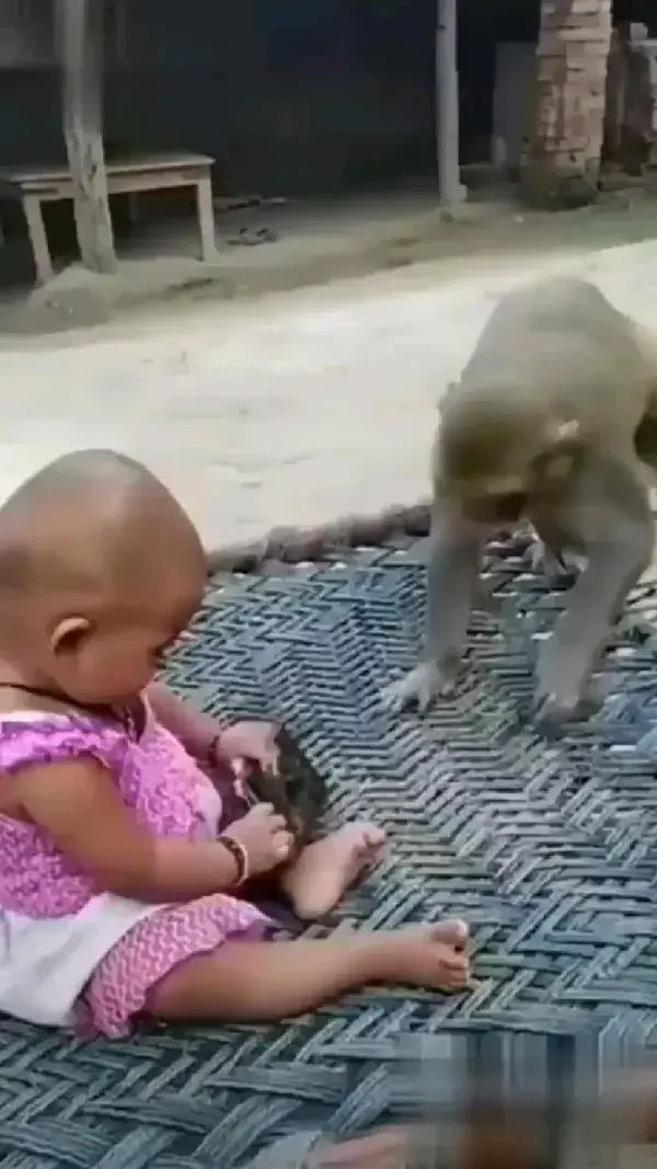 👶📱🐒