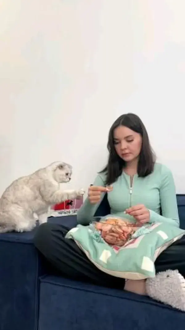 Eating cat fun