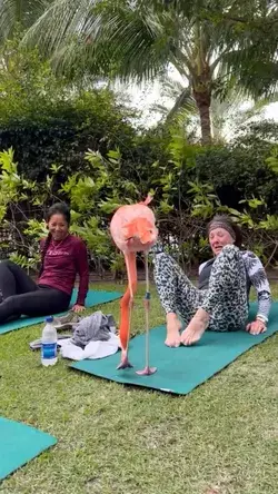 Flamingo Yoga Style