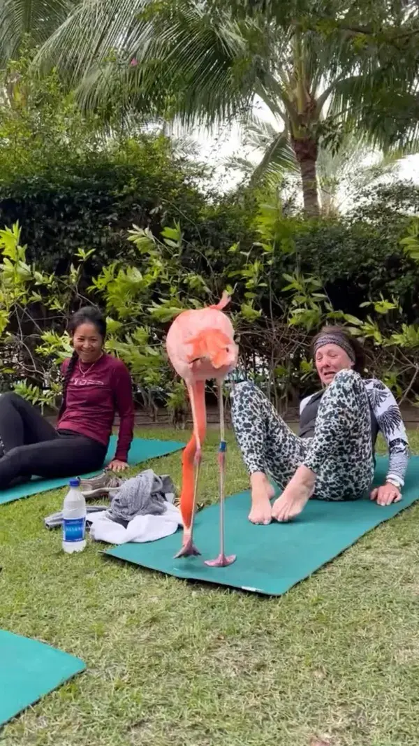 Flamingo Yoga Style