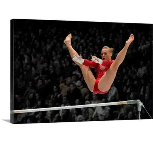 The Gymnast by Tejo Coen Photographic Print on Canvas