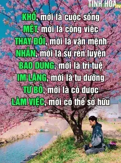 Chỉ đơn giản để tâm thanh thản mới có thể thấu rõ sự đời!