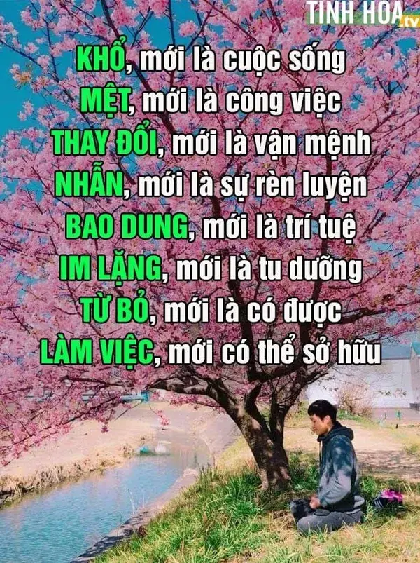 Chỉ đơn giản để tâm thanh thản mới có thể thấu rõ sự đời!