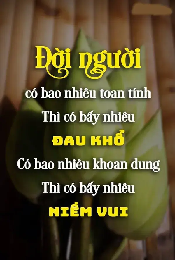 Đời người