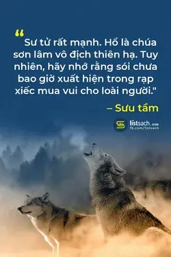 Trích dẫn hay về quy tắc triết lý sống của loài sói | Quote hay nên nhớ