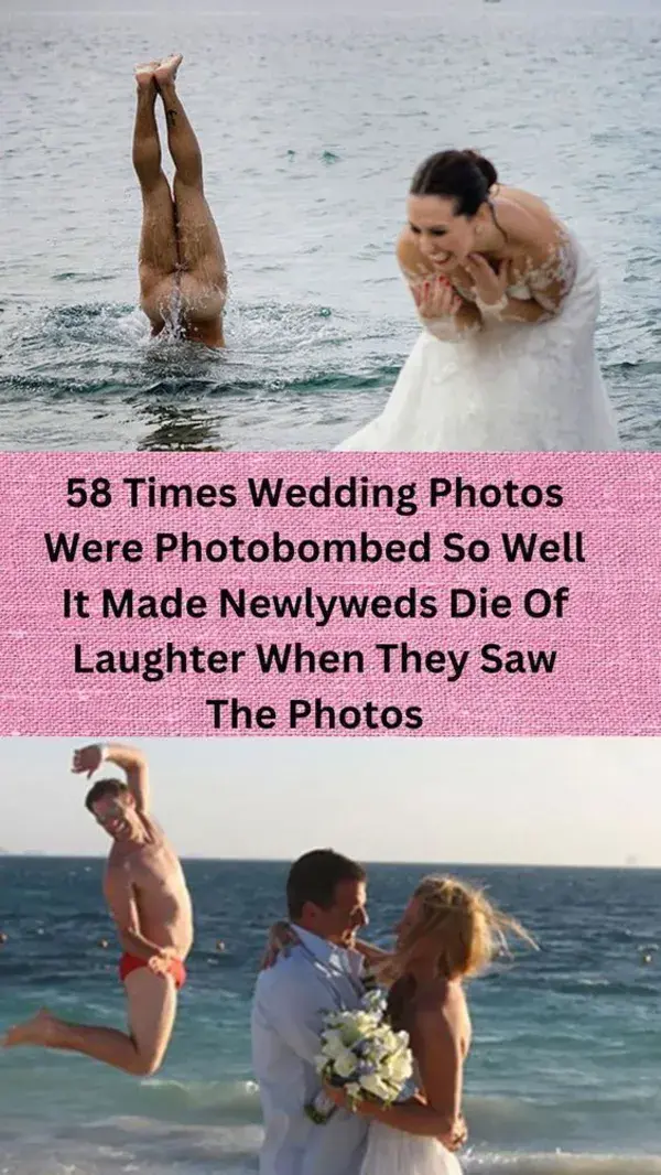 58 Times Wedding Photos Were Photobombed So Well It Made Newlyweds Die Of Laughter When They Saw