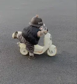 Another mini motorcycle