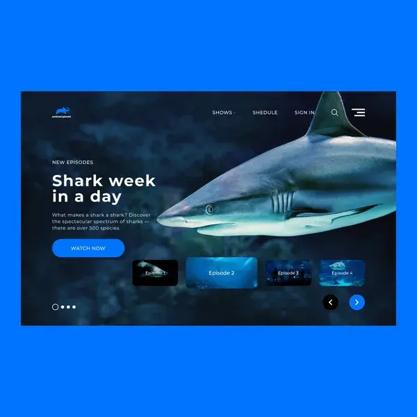 Shark Animal Planet design #webdesign