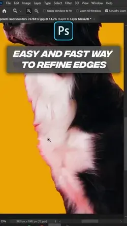 Easy and fast way to refine edges in photoshop