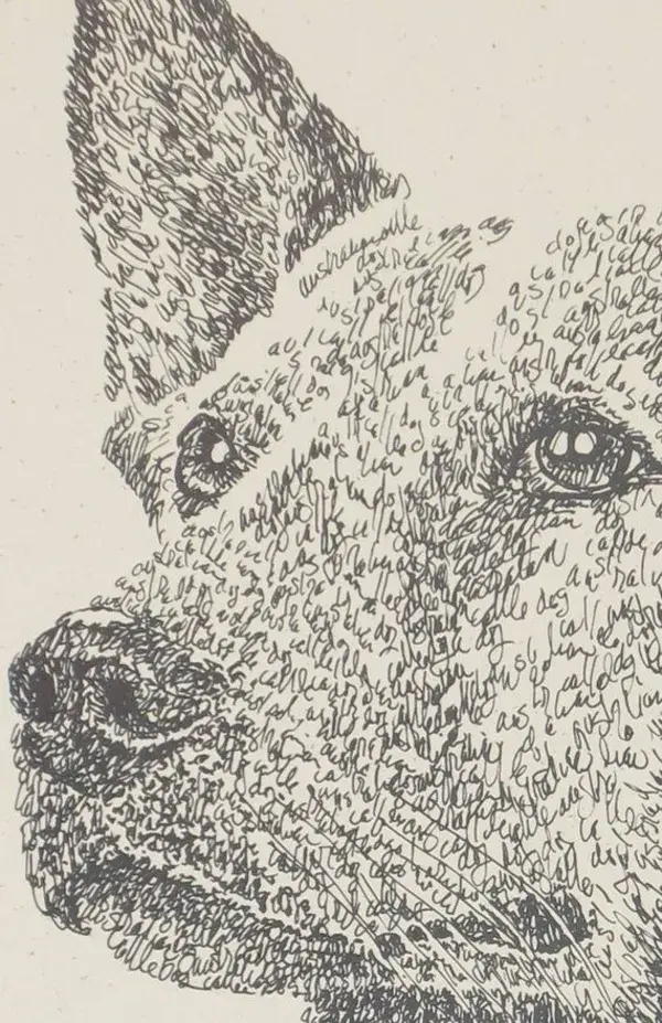 Australian Cattle Dog Art Portrait Drawing From Words. Your - Etsy