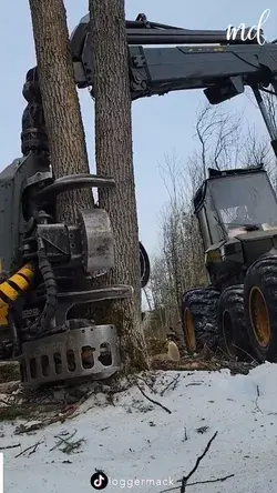 This machine cuts outgrown trees in no time!