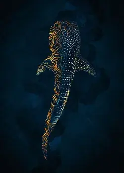 'Whale Shark in Gold' Metal Poster Print - Is Rough | Displate