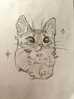 Cat Hand Drawing | Cat Drawing