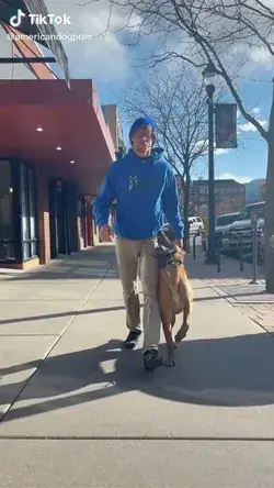 American dog pros on TikTok!