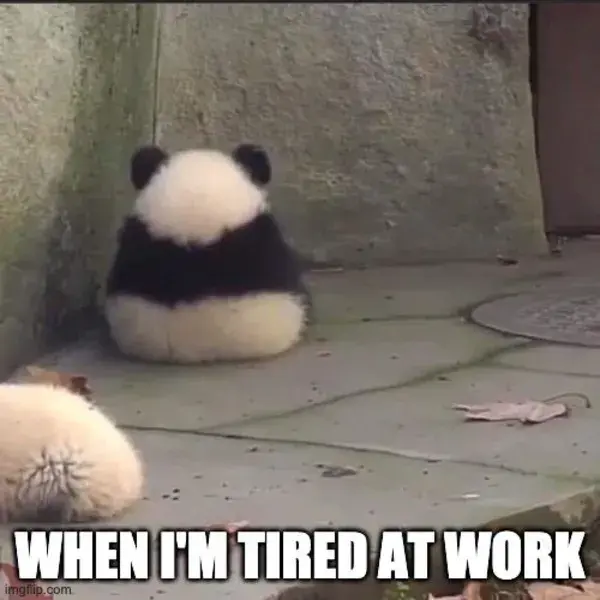 Tired at Work Meme